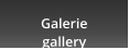 Galerie gallery